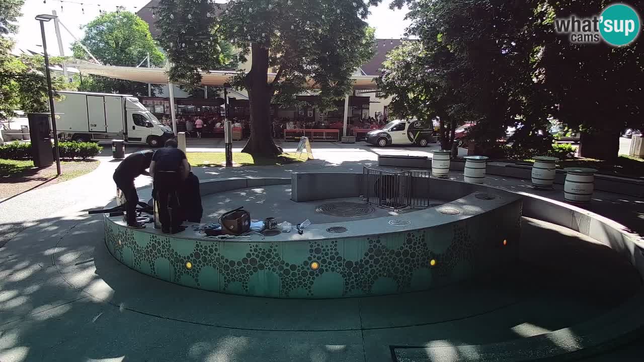 Camera en vivo Fuente de cerveza – Oro verde – Žalec