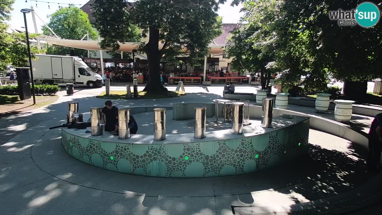 Fontaine à bière LIVE webcam – Or vert – Žalec