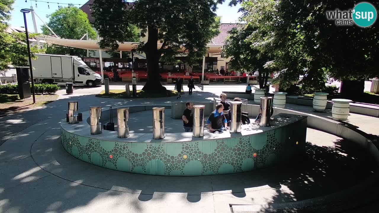 Camera en vivo Fuente de cerveza – Oro verde – Žalec