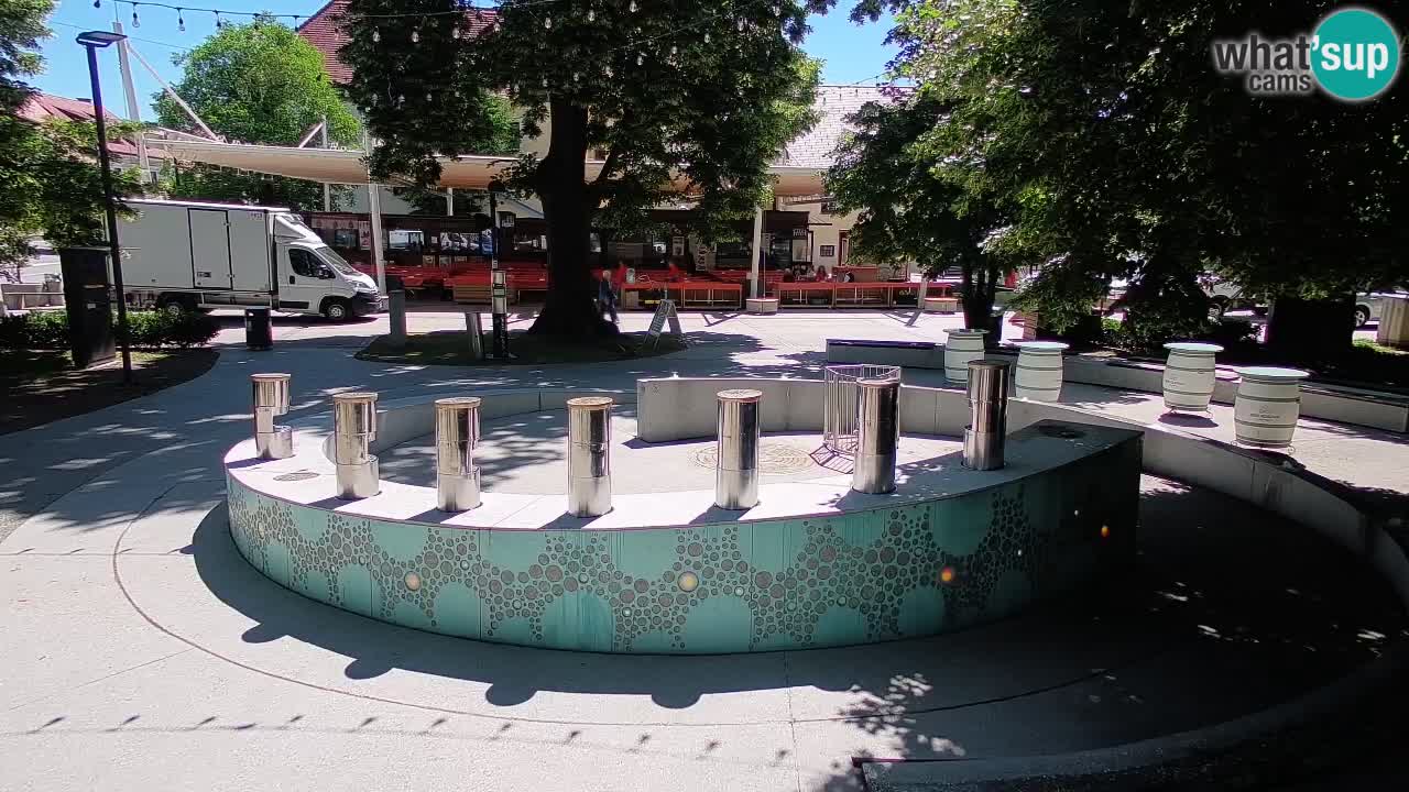 Bier-Springbrunnen Webcam Žalec – Grünen Goldes