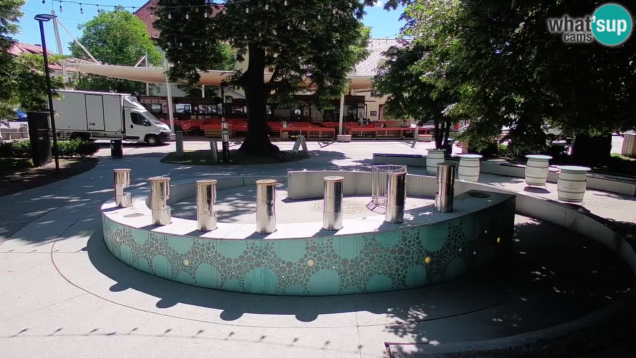 Fontana di birra Webcam – Oro verde – Žalec