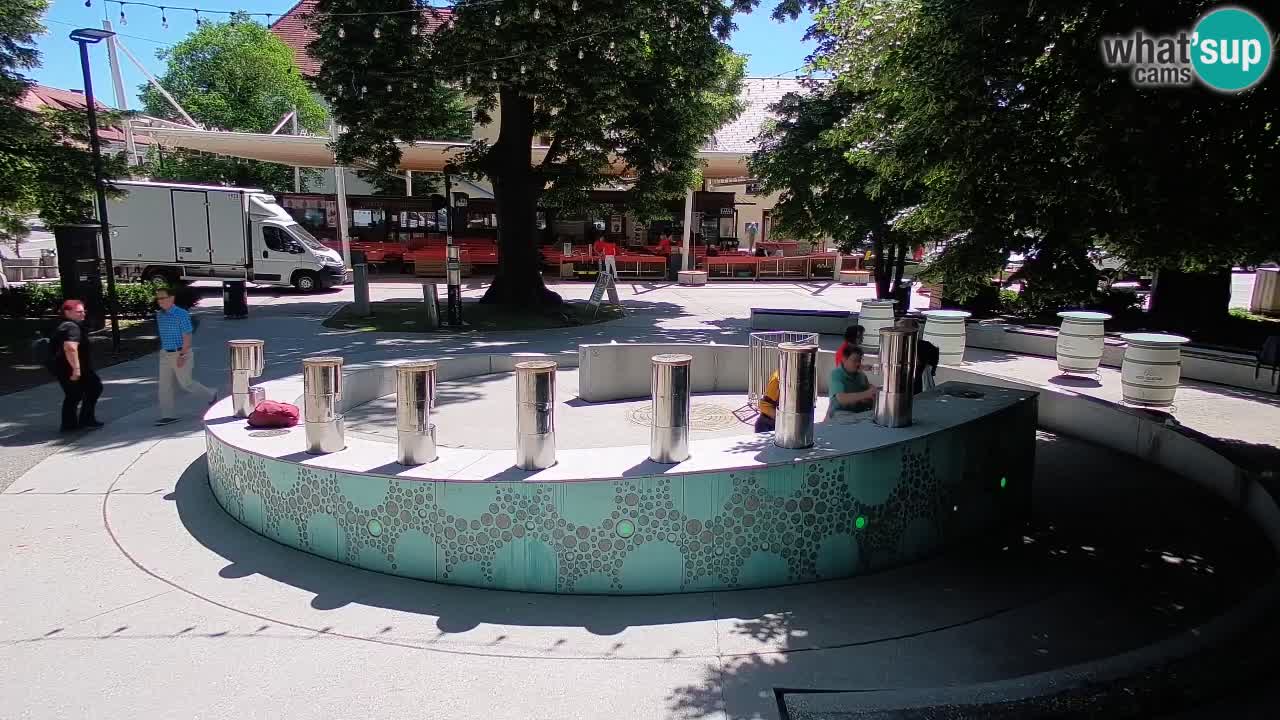 Fontaine à bière LIVE webcam – Or vert – Žalec