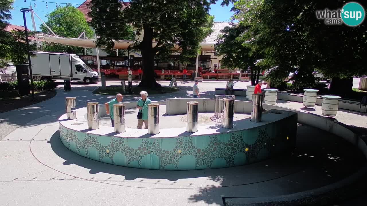 Camera en vivo Fuente de cerveza – Oro verde – Žalec