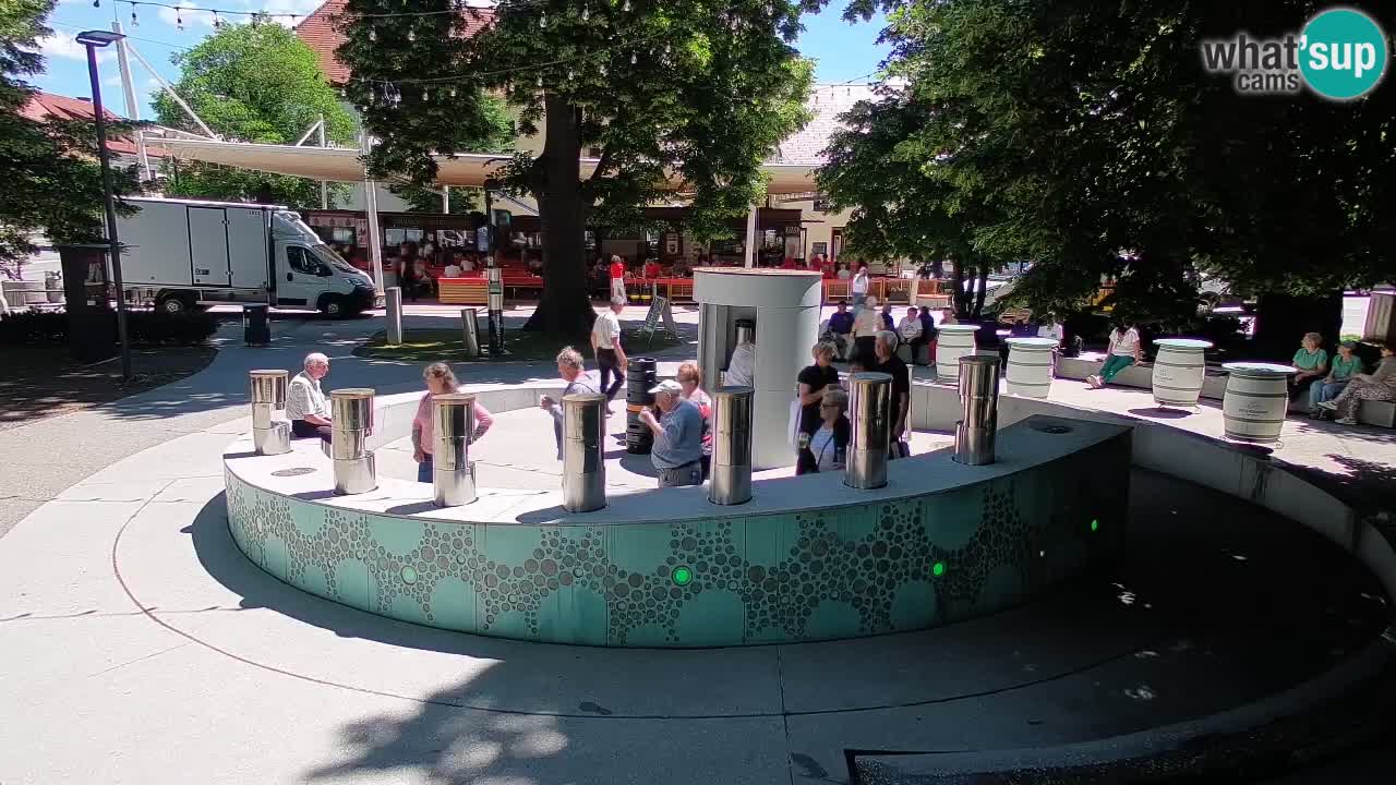 Camera en vivo Fuente de cerveza – Oro verde – Žalec