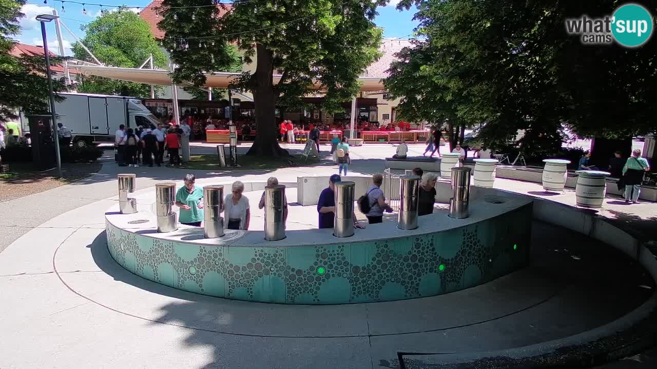 Camera en vivo Fuente de cerveza – Oro verde – Žalec