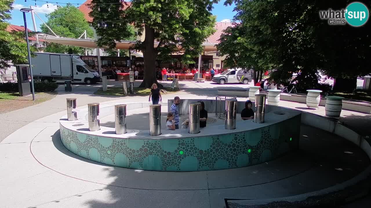 Fontana di birra Webcam – Oro verde – Žalec
