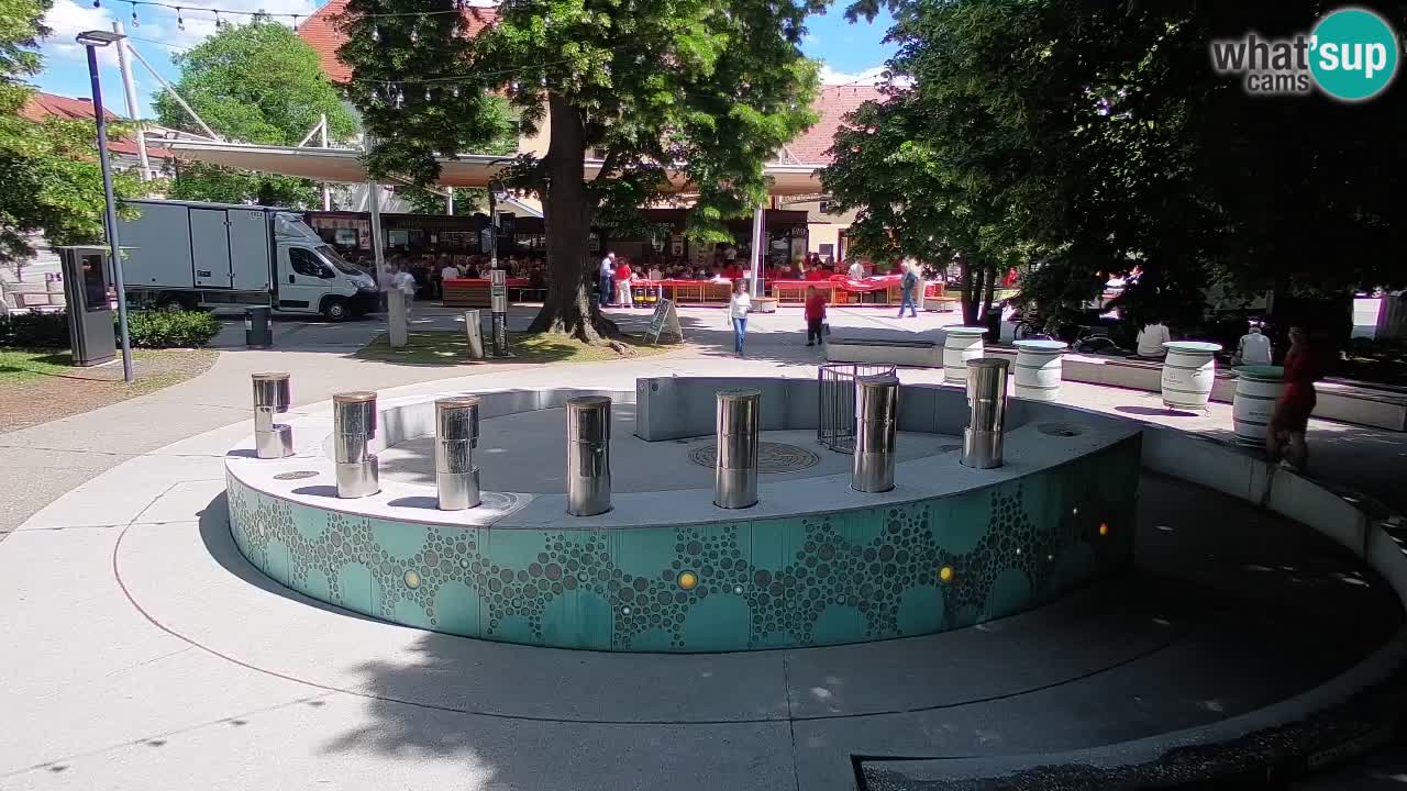 Web kamera Fontana piva – Zeleno zlato – Žalec