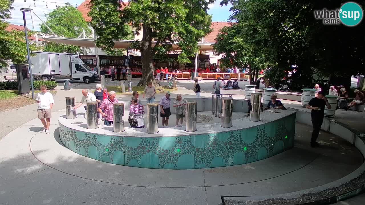 Web kamera Fontana piva – Zeleno zlato – Žalec