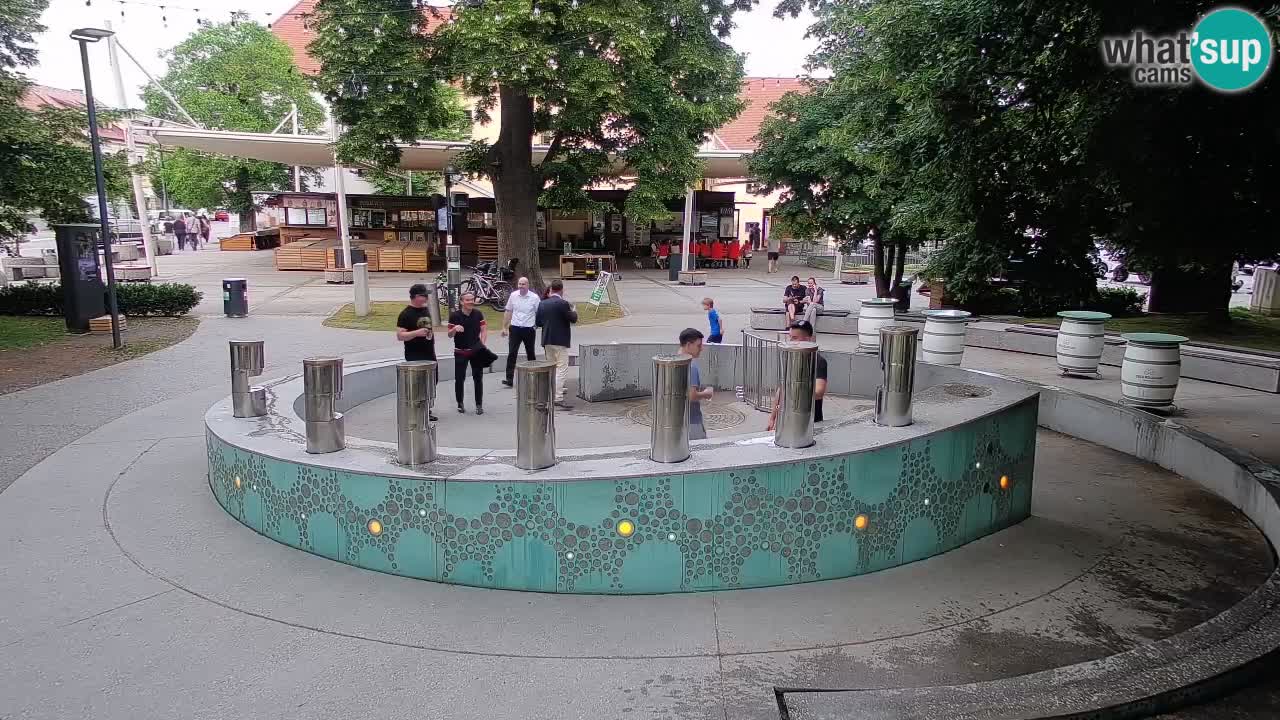 Bier-Springbrunnen Webcam Žalec – Grünen Goldes