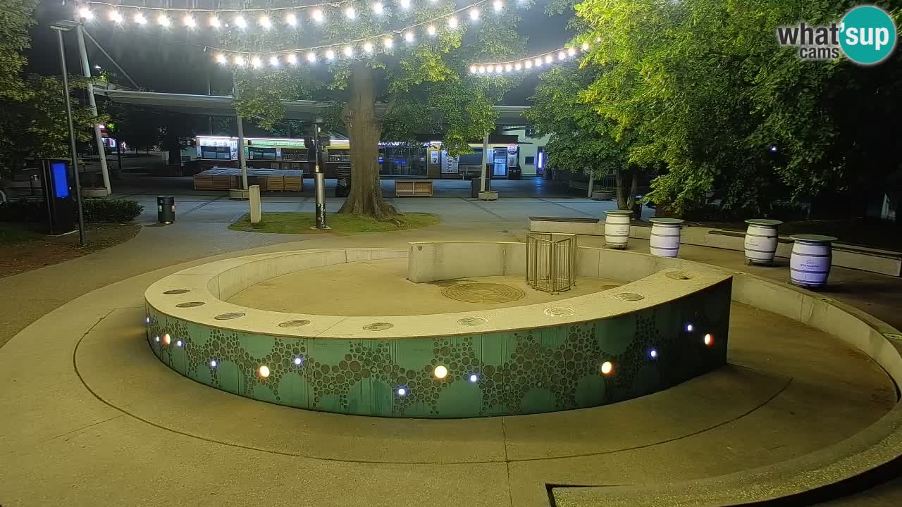 Camera en vivo Fuente de cerveza – Oro verde – Žalec