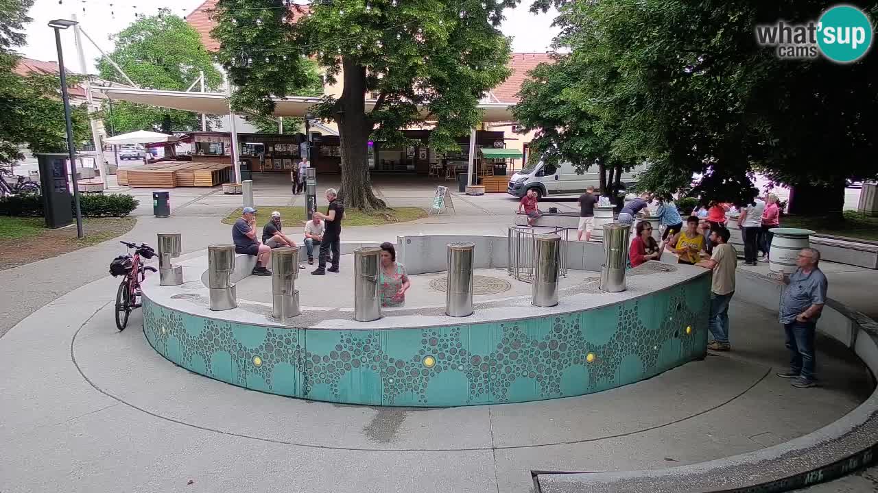 Web kamera Fontana piva – Zeleno zlato – Žalec