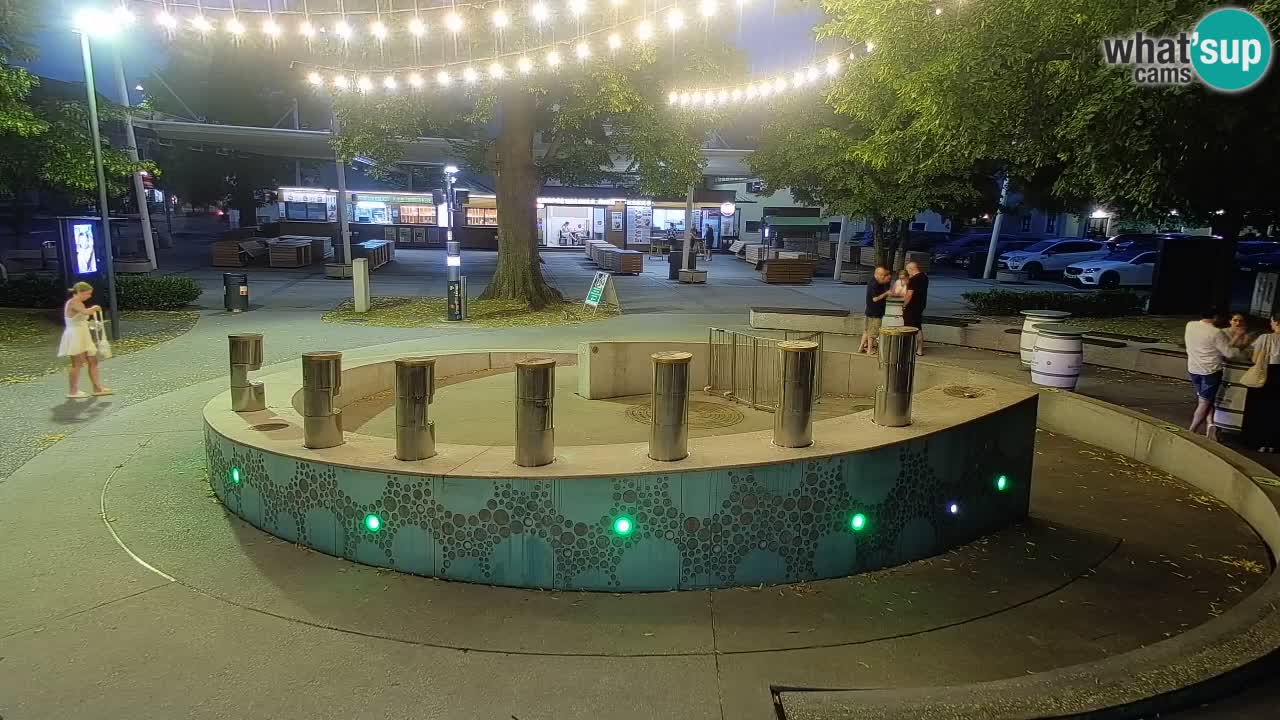 Fontana di birra Webcam – Oro verde – Žalec