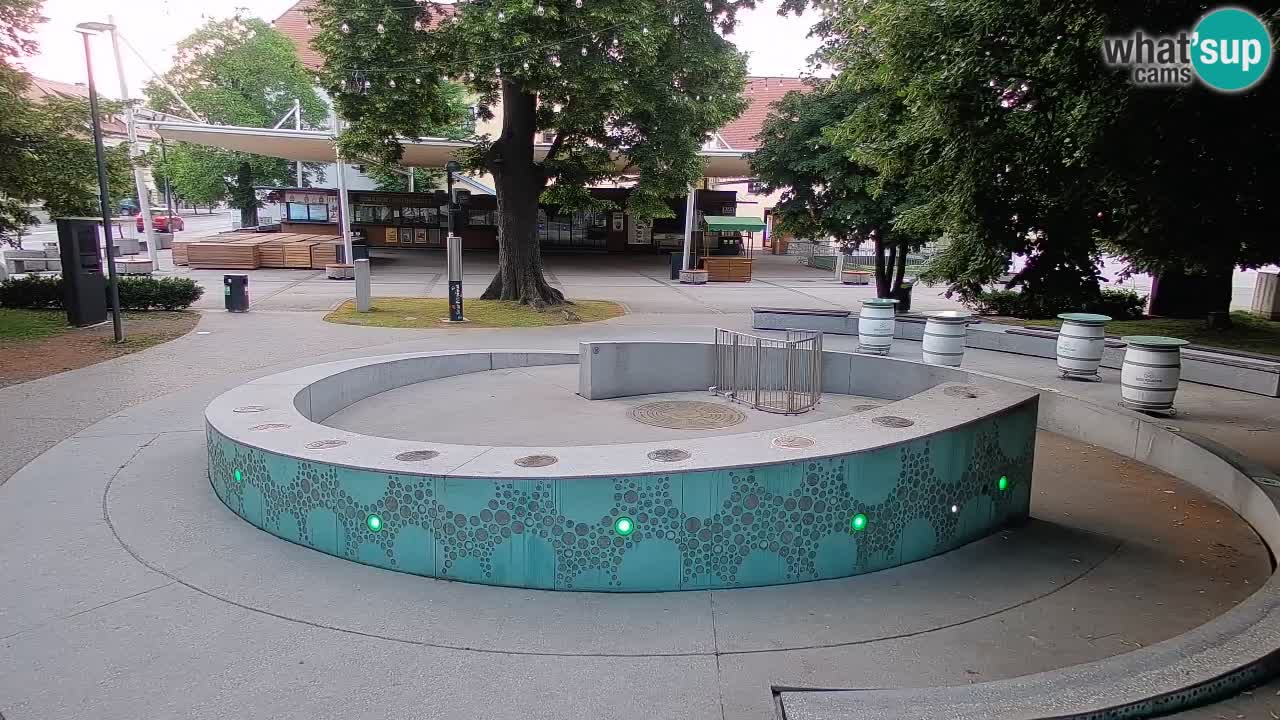 Web kamera Fontana piva – Zeleno zlato – Žalec
