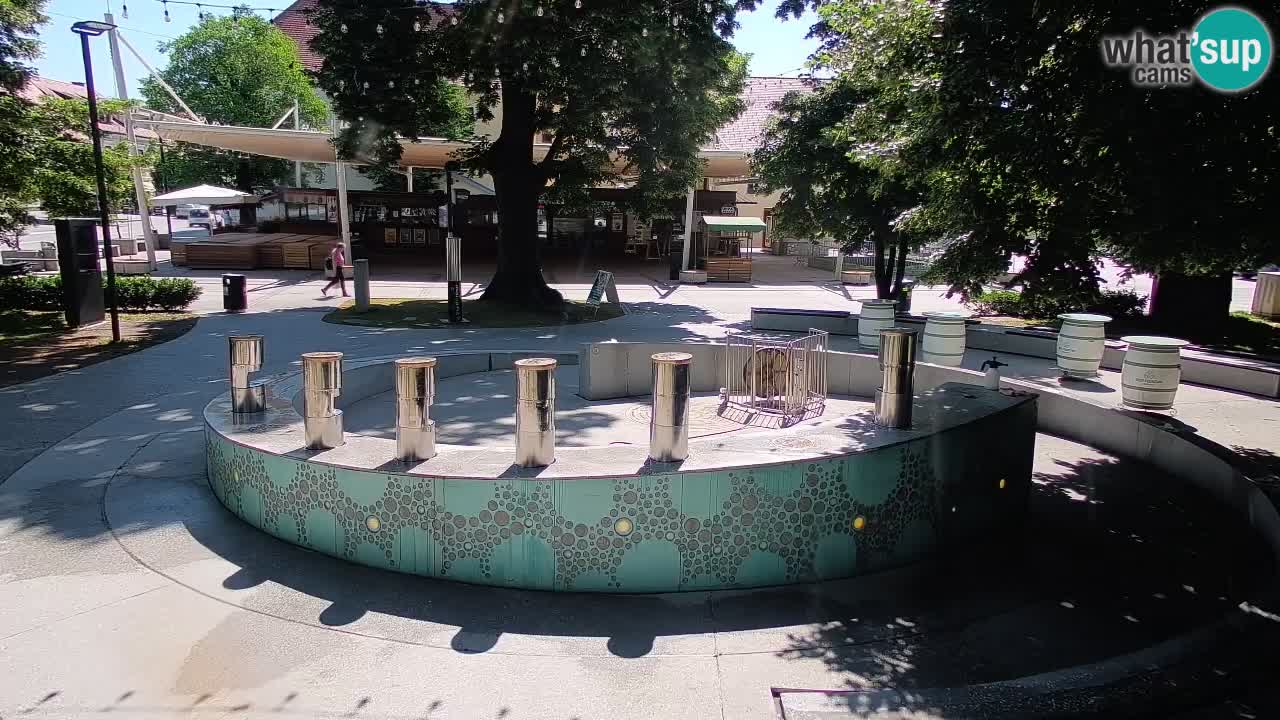 Camera en vivo Fuente de cerveza – Oro verde – Žalec