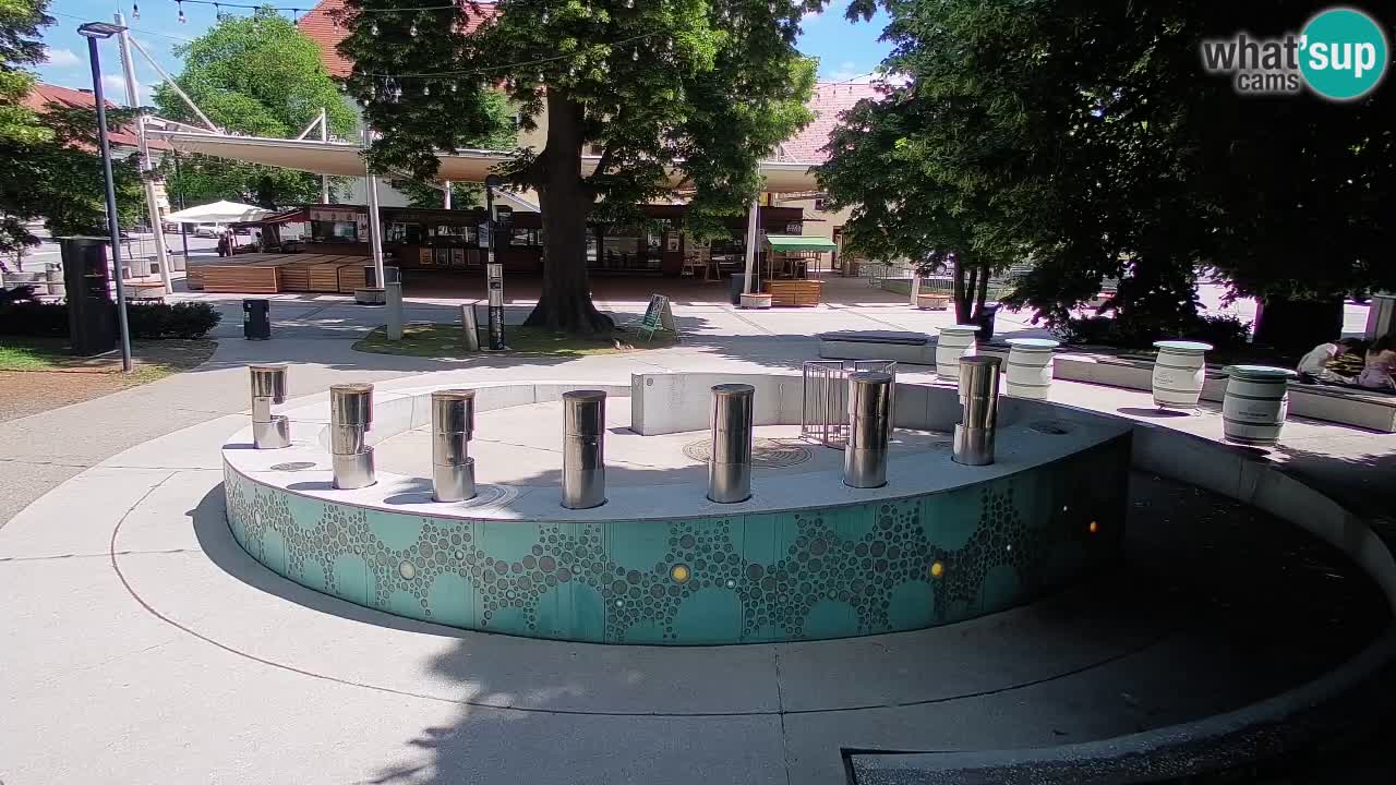 Camera en vivo Fuente de cerveza – Oro verde – Žalec