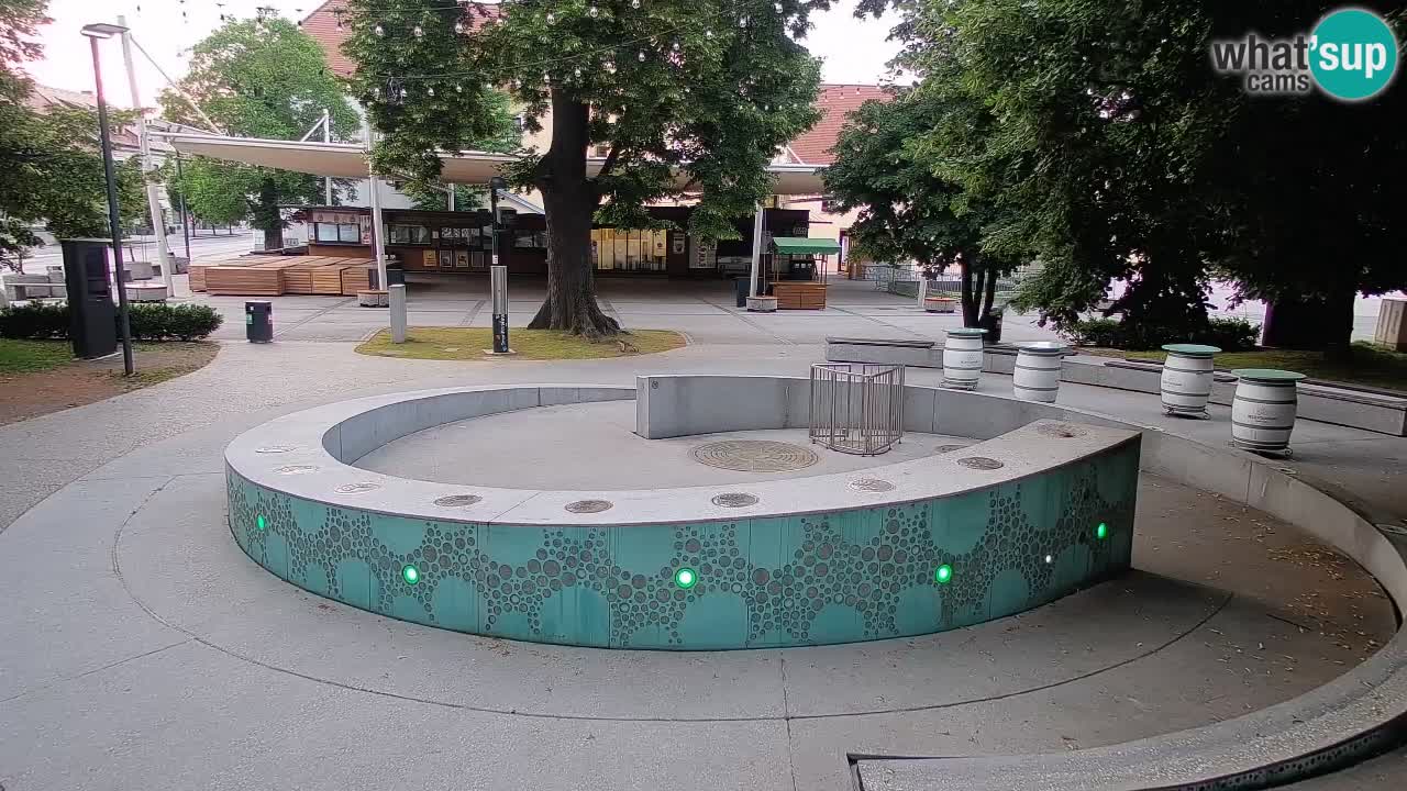 Web kamera Fontana piva – Zeleno zlato – Žalec