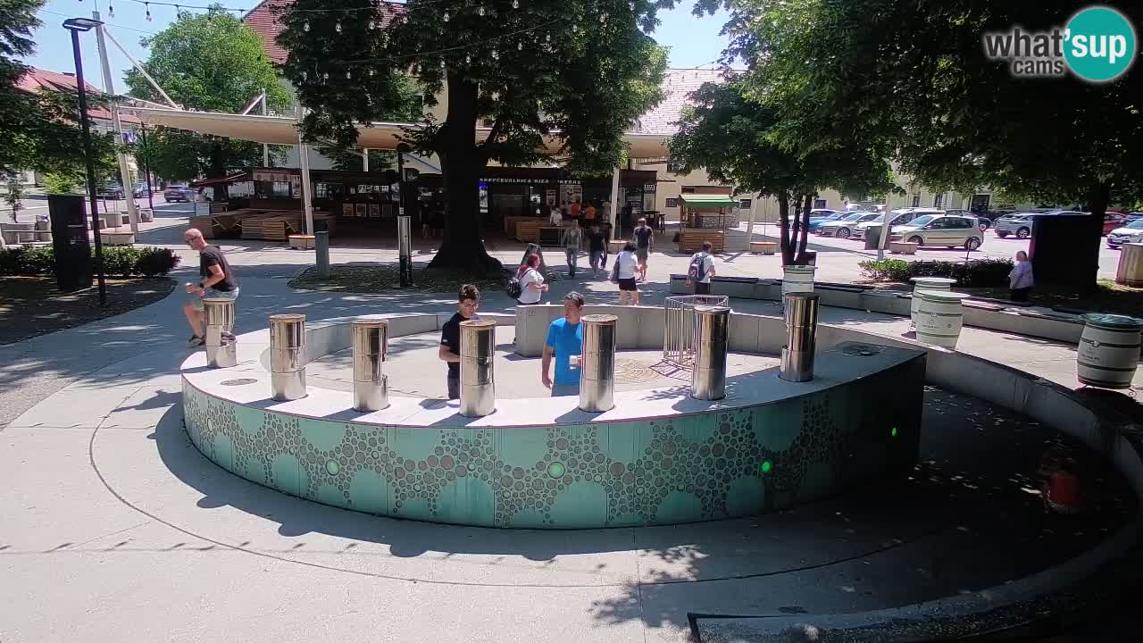 Bier-Springbrunnen Webcam Žalec – Grünen Goldes