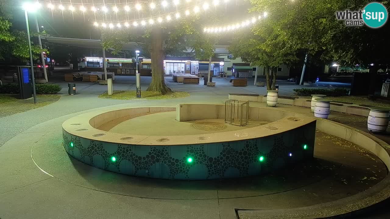Camera en vivo Fuente de cerveza – Oro verde – Žalec