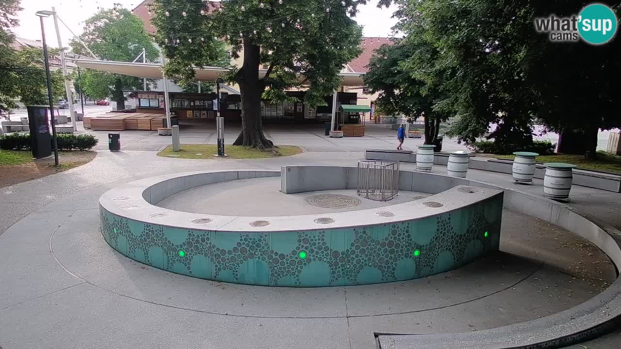 Web kamera Fontana piva – Zeleno zlato – Žalec