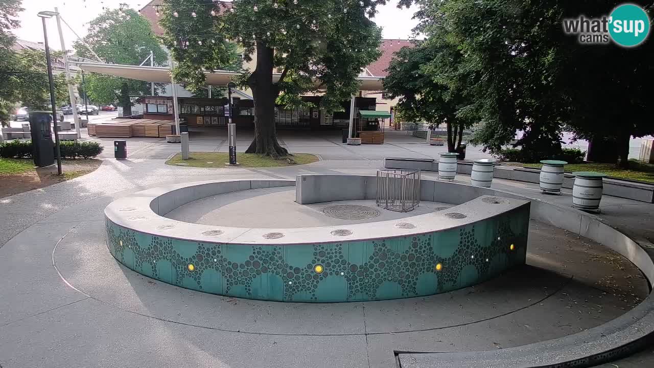Web kamera Fontana piva – Zeleno zlato – Žalec