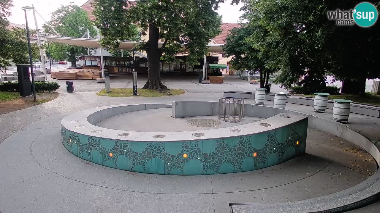 Web kamera Fontana piva – Zeleno zlato – Žalec