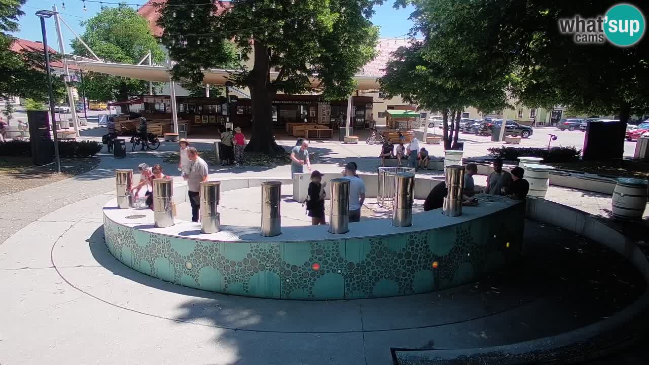 Camera en vivo Fuente de cerveza – Oro verde – Žalec
