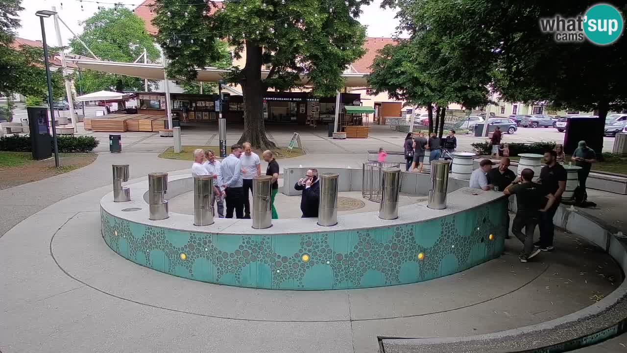 Web kamera Fontana piva – Zeleno zlato – Žalec