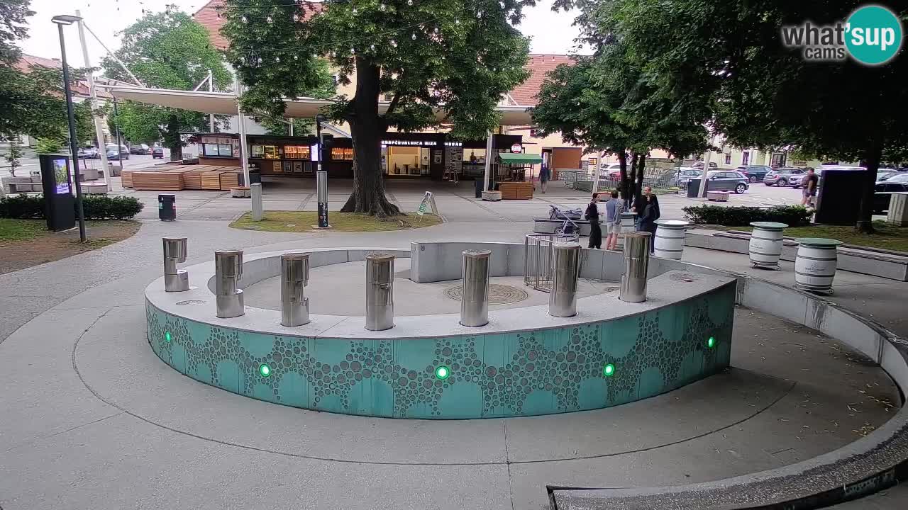Web kamera Fontana piva – Zeleno zlato – Žalec