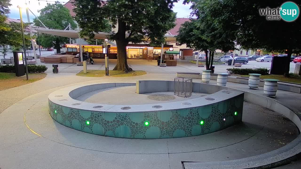 Fontaine à bière LIVE webcam – Or vert – Žalec