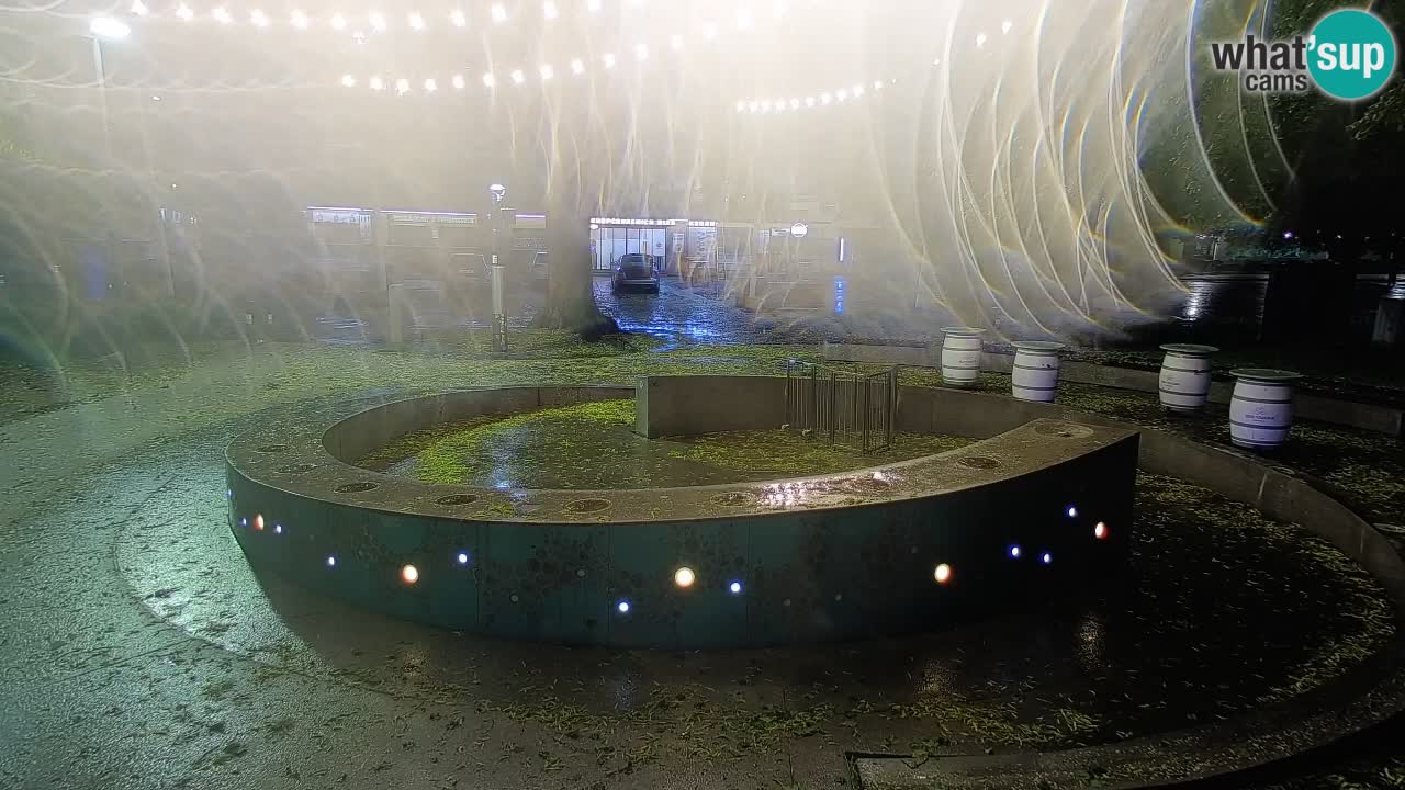 Bier-Springbrunnen Webcam Žalec – Grünen Goldes