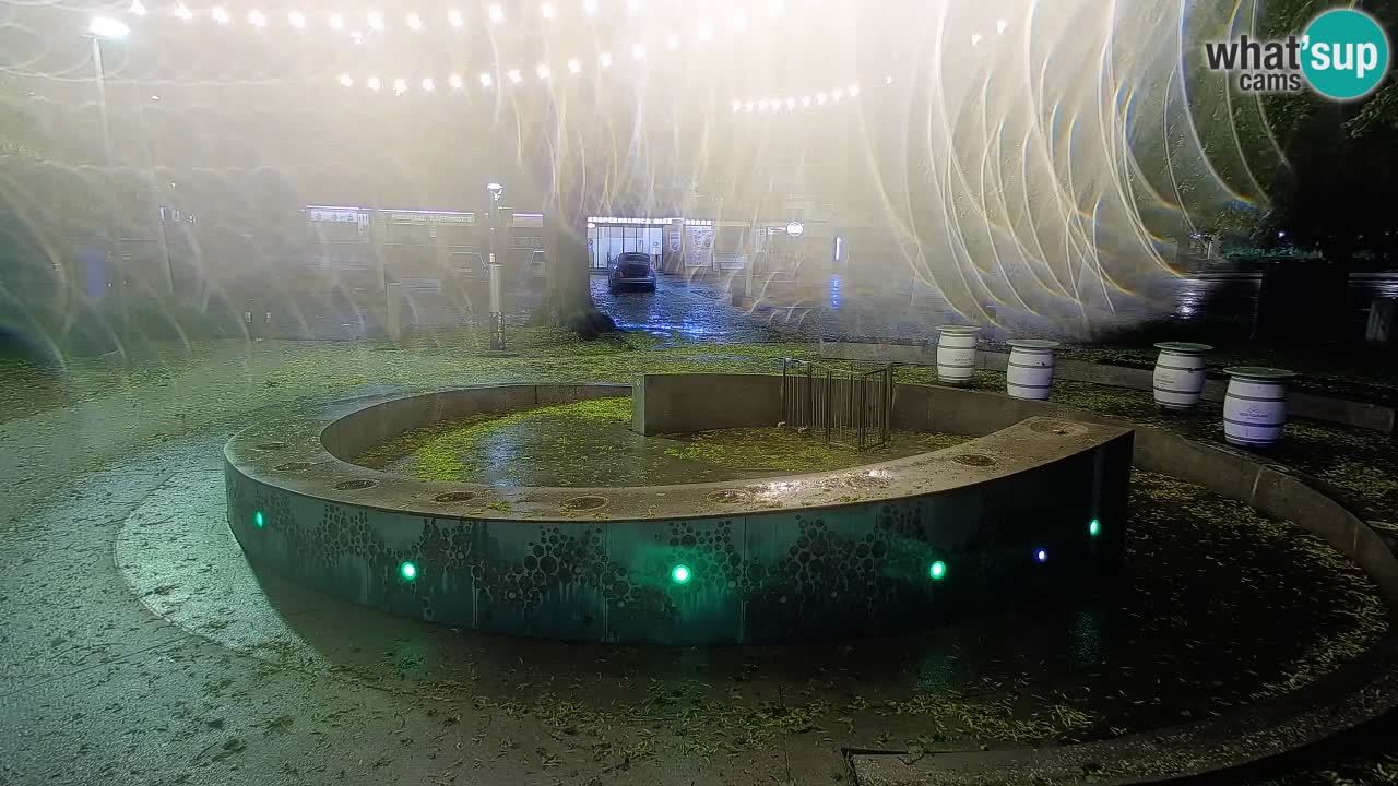 Fontana di birra Webcam – Oro verde – Žalec