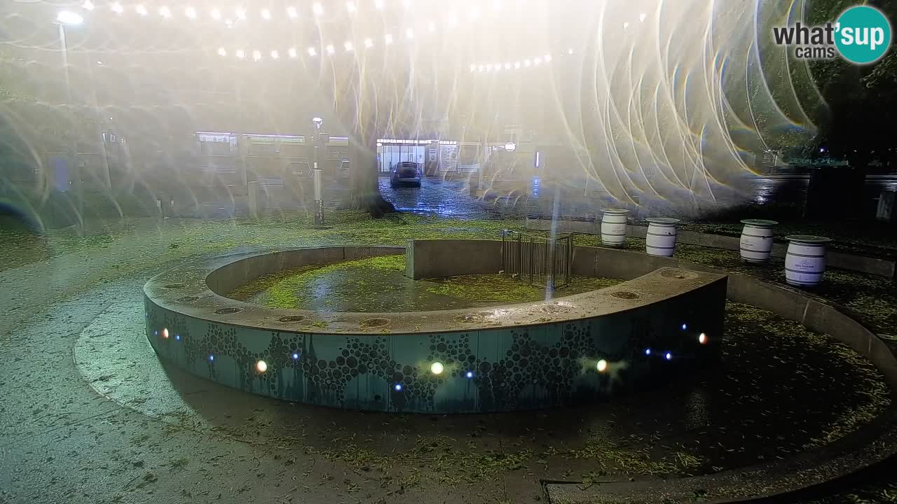 Fontaine à bière LIVE webcam – Or vert – Žalec