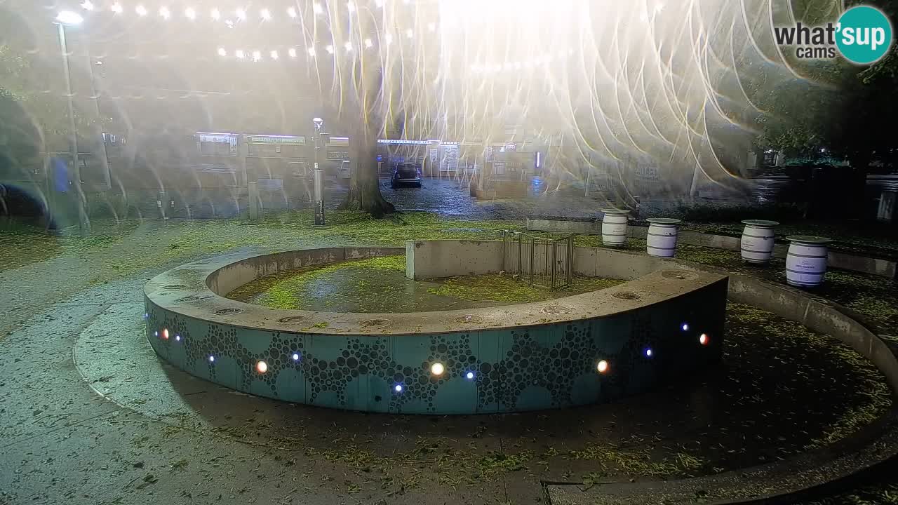 Web kamera Fontana piva – Zeleno zlato – Žalec