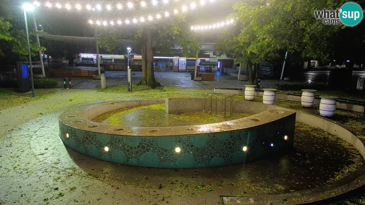 Bier-Springbrunnen Webcam Žalec – Grünen Goldes