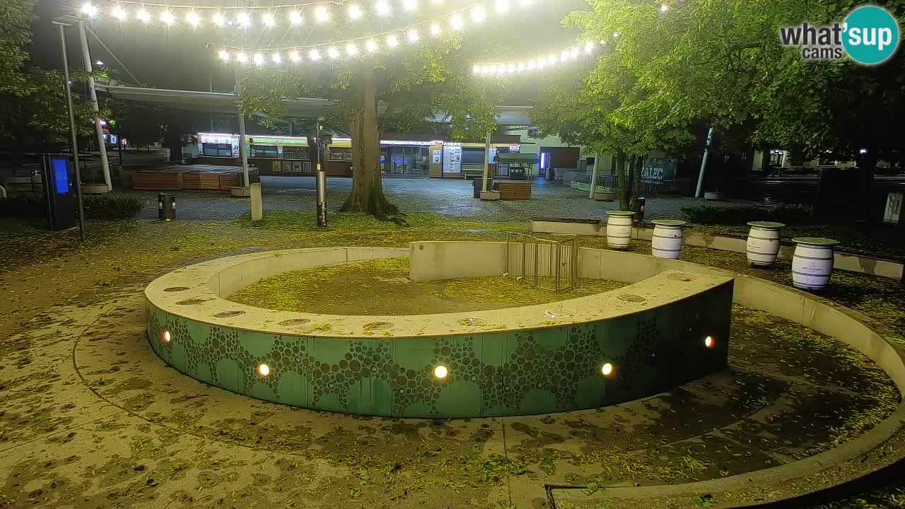 Spletna kamera Fontana Piv – Zeleno zlato Žalec