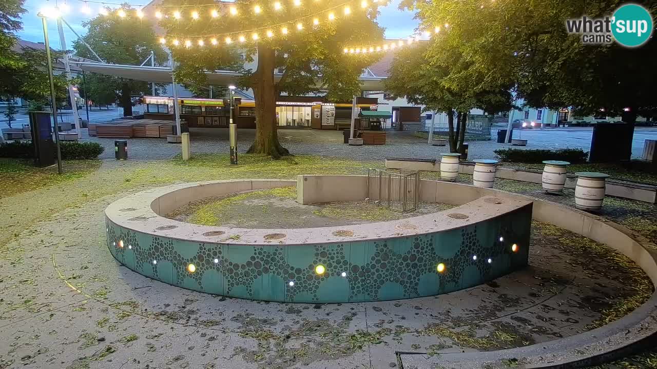 Spletna kamera Fontana Piv – Zeleno zlato Žalec