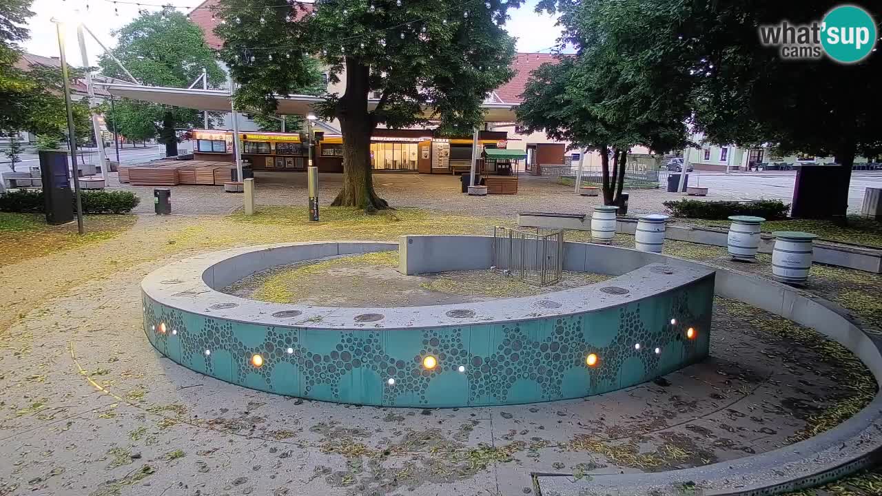 Bier-Springbrunnen Webcam Žalec – Grünen Goldes