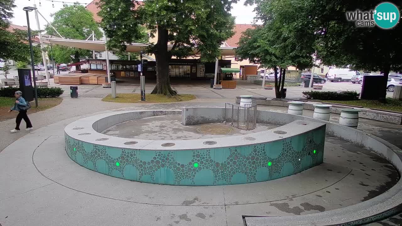 Web kamera Fontana piva – Zeleno zlato – Žalec