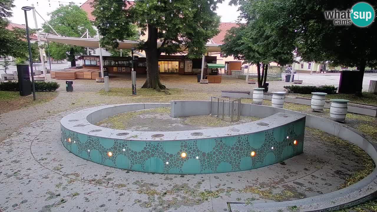 Bier-Springbrunnen Webcam Žalec – Grünen Goldes