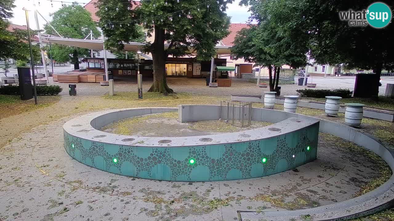 Web kamera Fontana piva – Zeleno zlato – Žalec