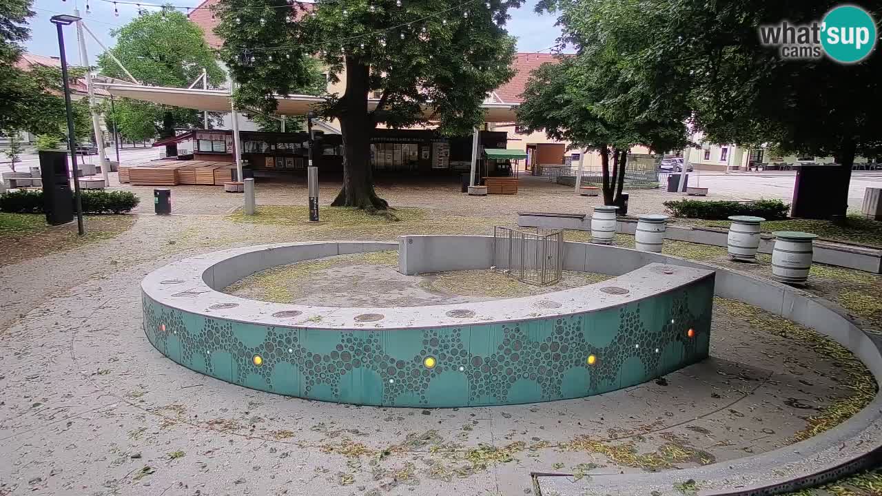 Web kamera Fontana piva – Zeleno zlato – Žalec