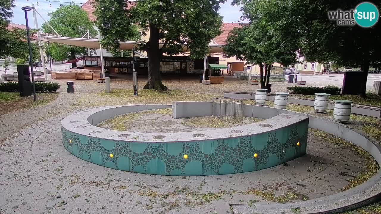 Web kamera Fontana piva – Zeleno zlato – Žalec