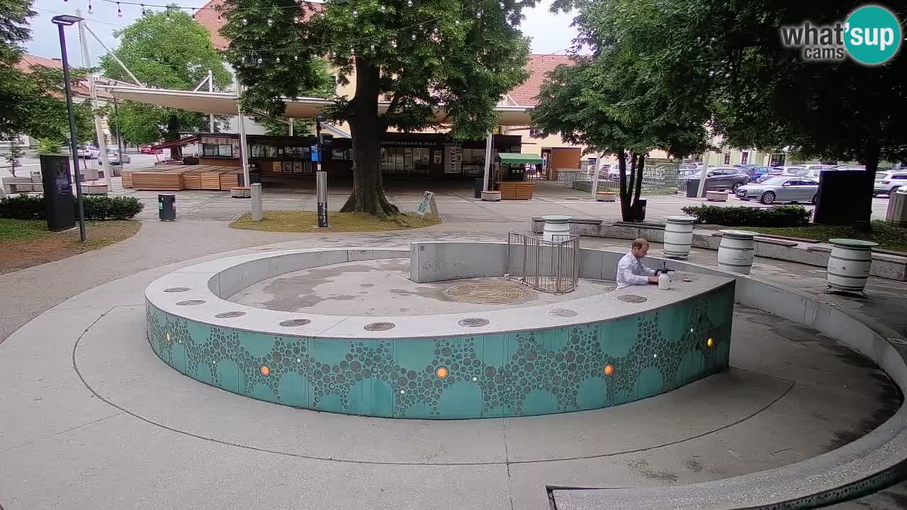 Web kamera Fontana piva – Zeleno zlato – Žalec