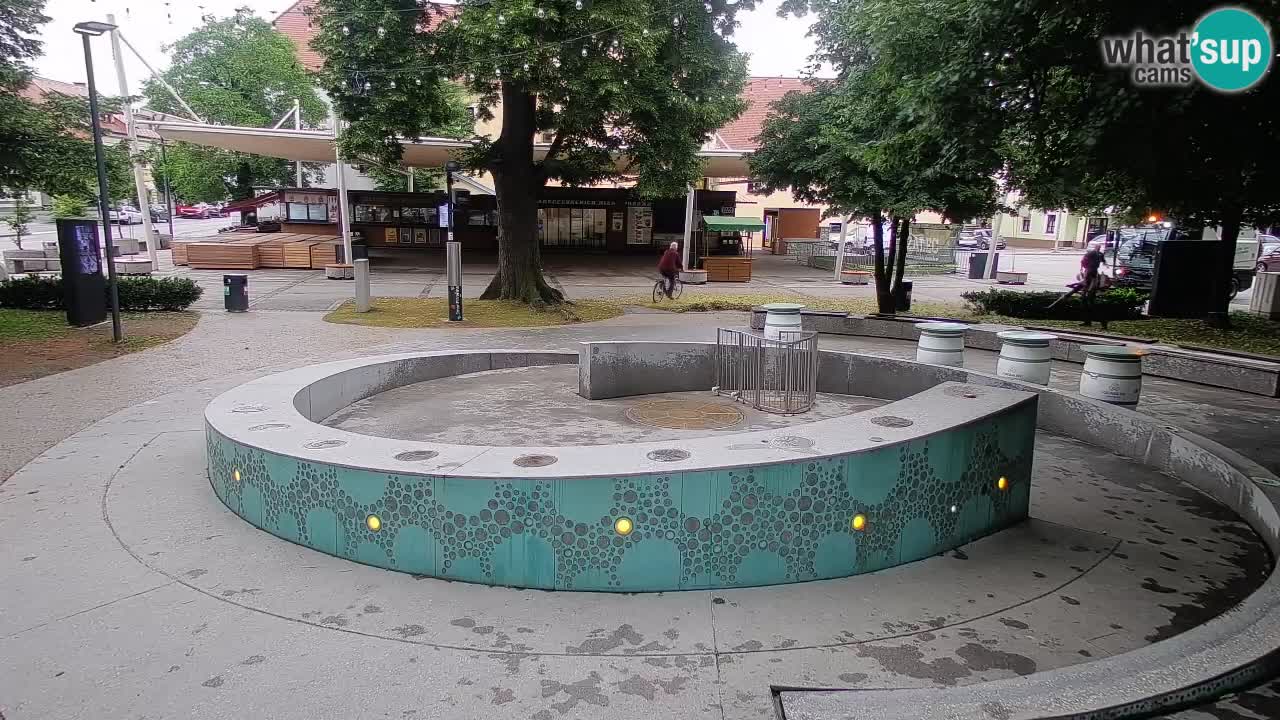 Web kamera Fontana piva – Zeleno zlato – Žalec