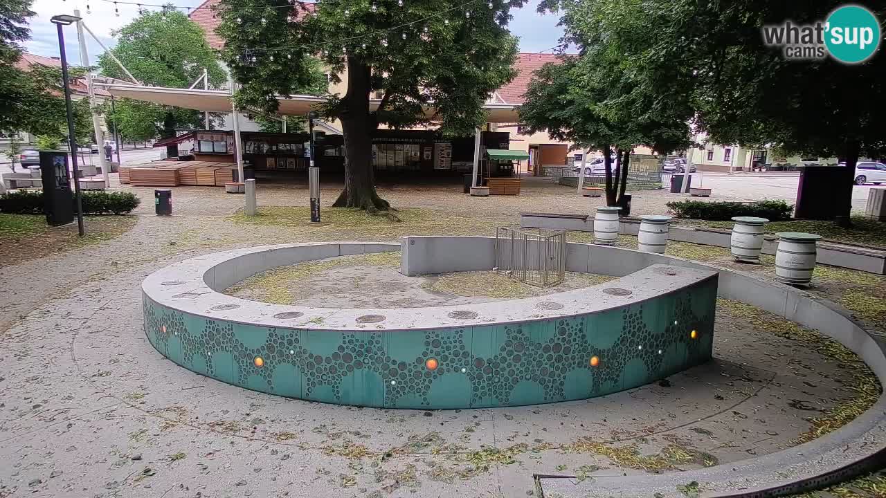Fontaine à bière LIVE webcam – Or vert – Žalec