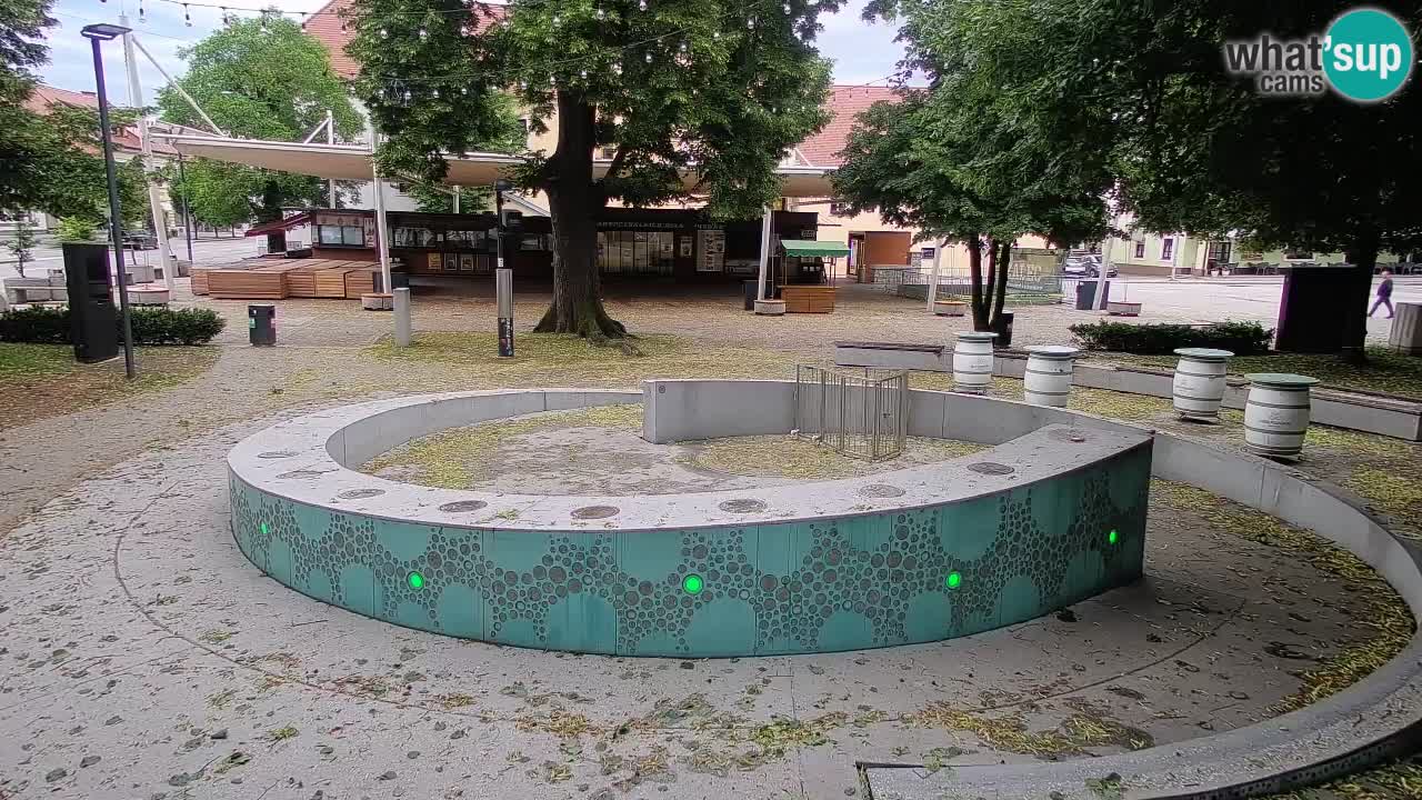 Spletna kamera Fontana Piv – Zeleno zlato Žalec