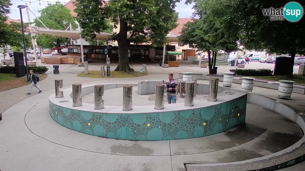 Web kamera Fontana piva – Zeleno zlato – Žalec