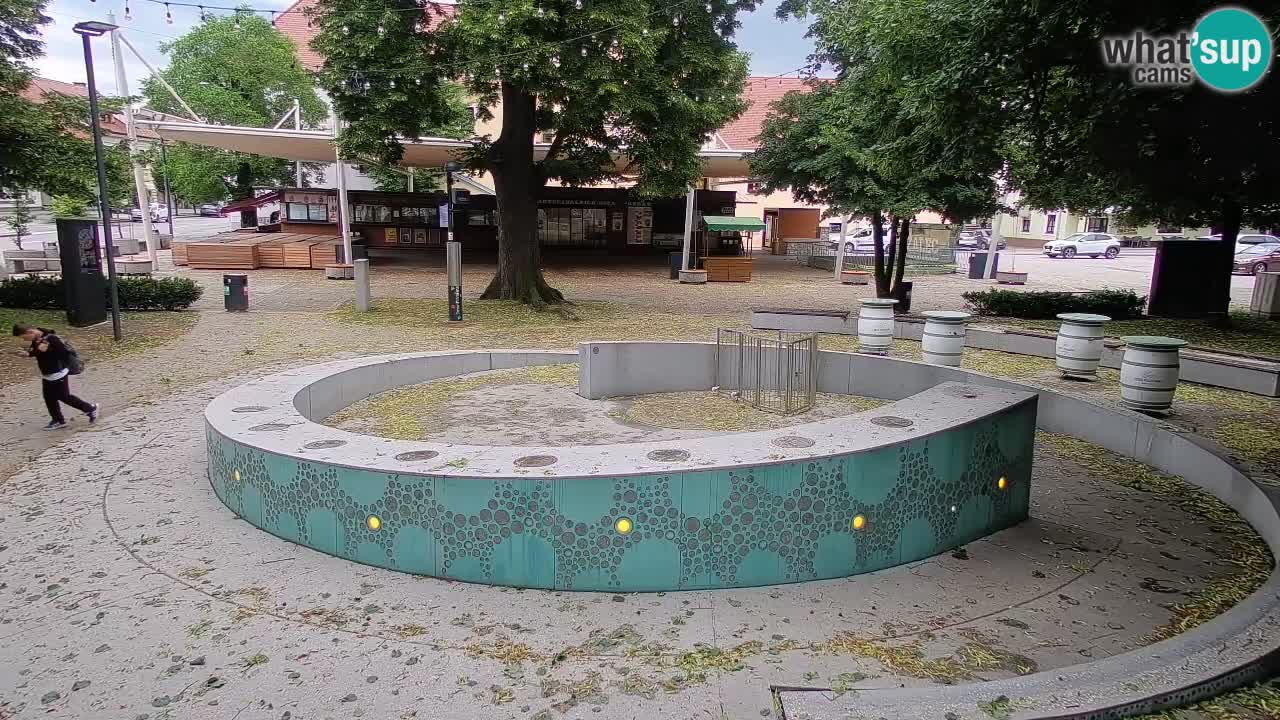 Web kamera Fontana piva – Zeleno zlato – Žalec