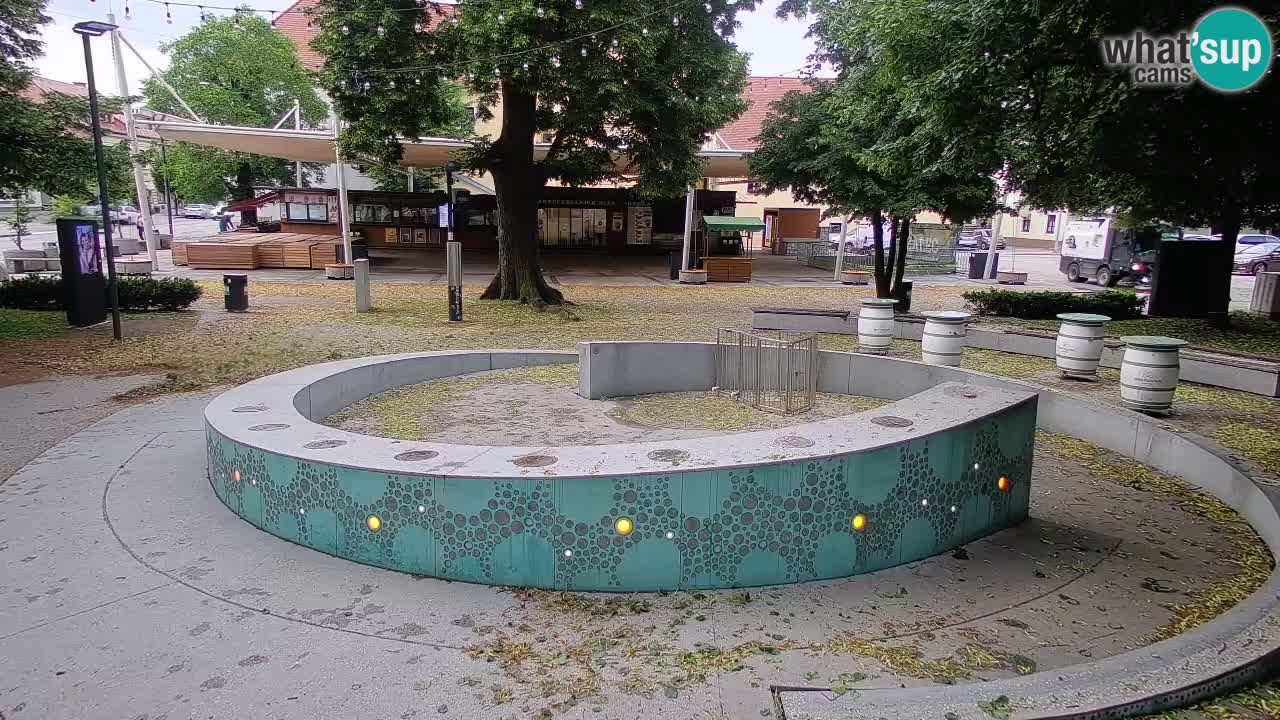 Web kamera Fontana piva – Zeleno zlato – Žalec
