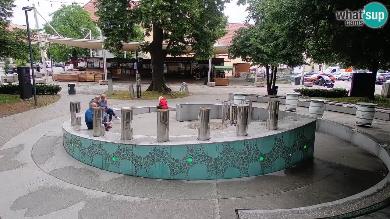 Web kamera Fontana piva – Zeleno zlato – Žalec